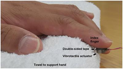 Neural Coding of Vibration Intensity